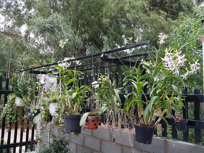 Hotel Nhat Huy Bungalow