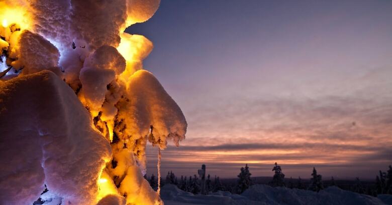 Lapland Hotel Pallas