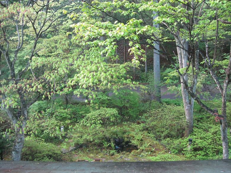 Bed & Breakfast La Forest de Nome Karuizawa