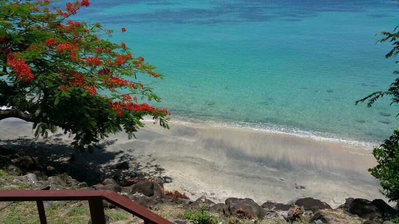 Apartamentos Sea Glass Place