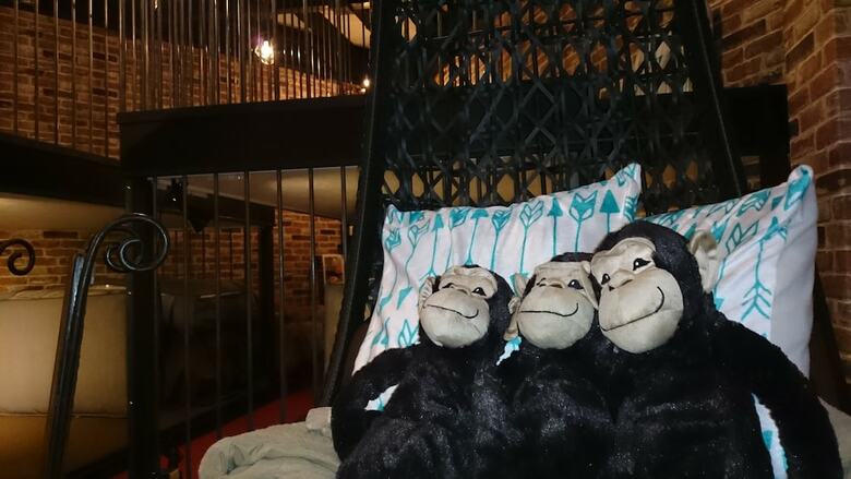 Apartamentos Yadoya Lodge