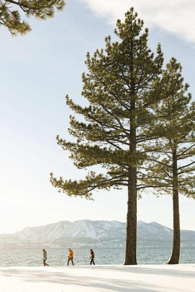Hotel Edgewood Tahoe Resort