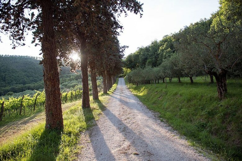 Agroturismo Agriturismo Colle Pu