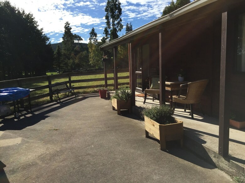 Height Of Dunedin