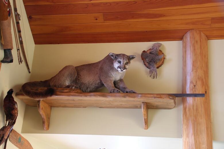 Bed & Breakfast Montana Hill Guest Ranch