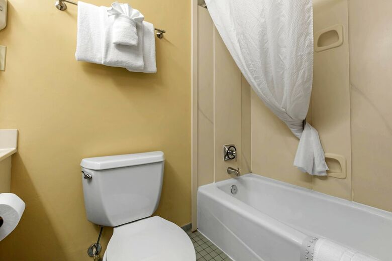 Hotel Lamplighter Inn And Suites