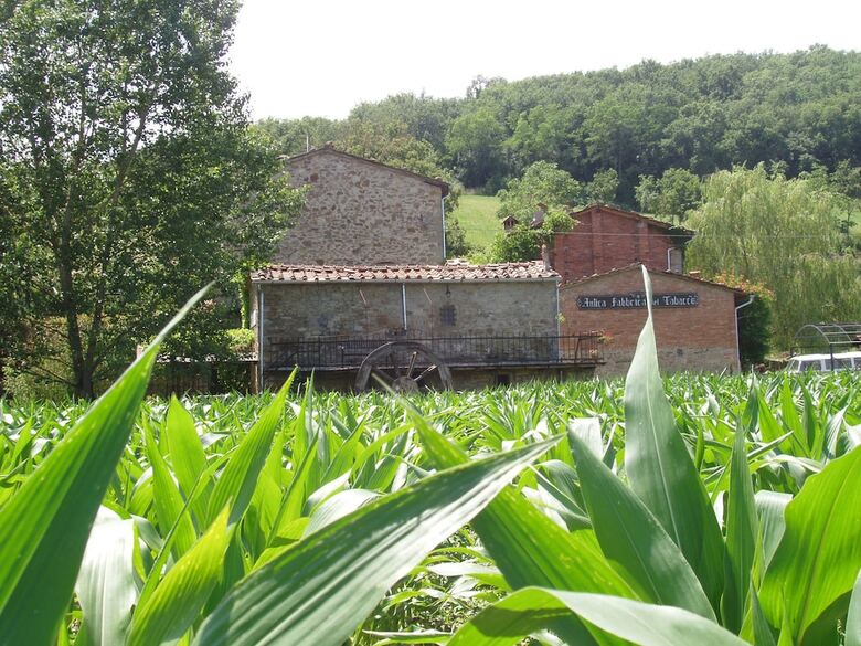 Apartamento Podere Casina Rossa