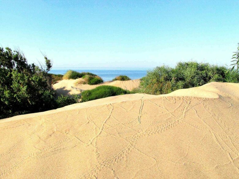 Apartamento Appartamento Narciso - Case Sicule