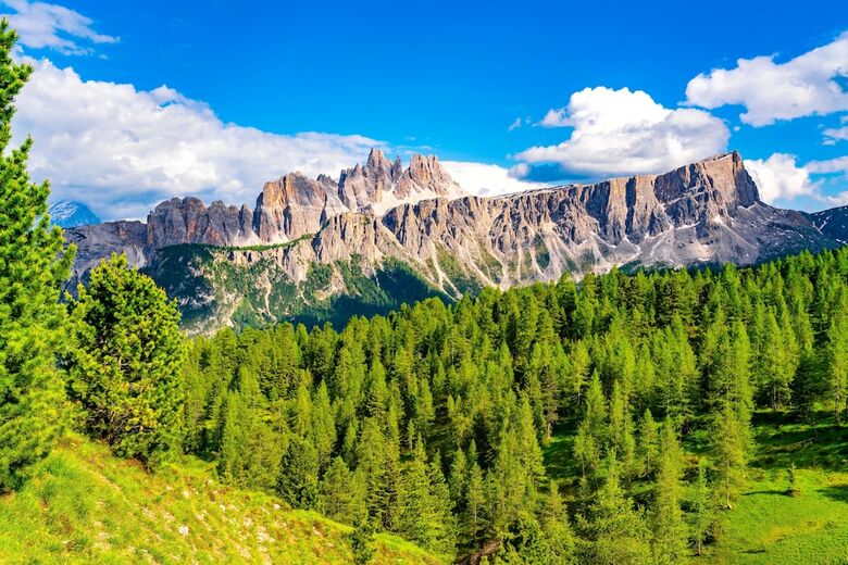 Hotel Faloria Mountain Spa Resort