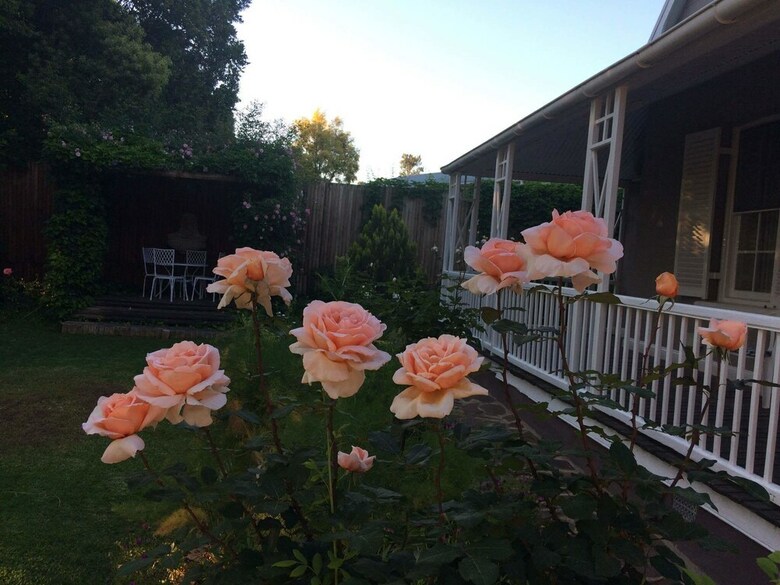 Hotel Housemartin Guest Lodge