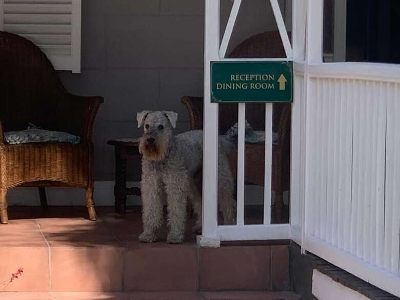 Hotel Housemartin Guest Lodge