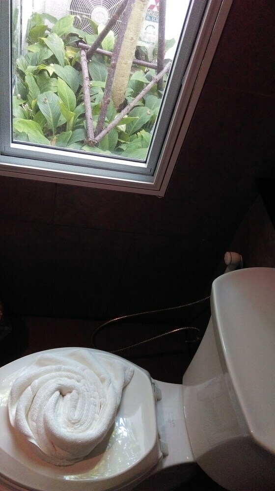 Hotel Seanery Beach Resort