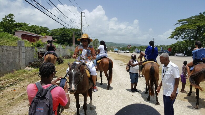 Ocho Rios Getaway Villa At The Palms