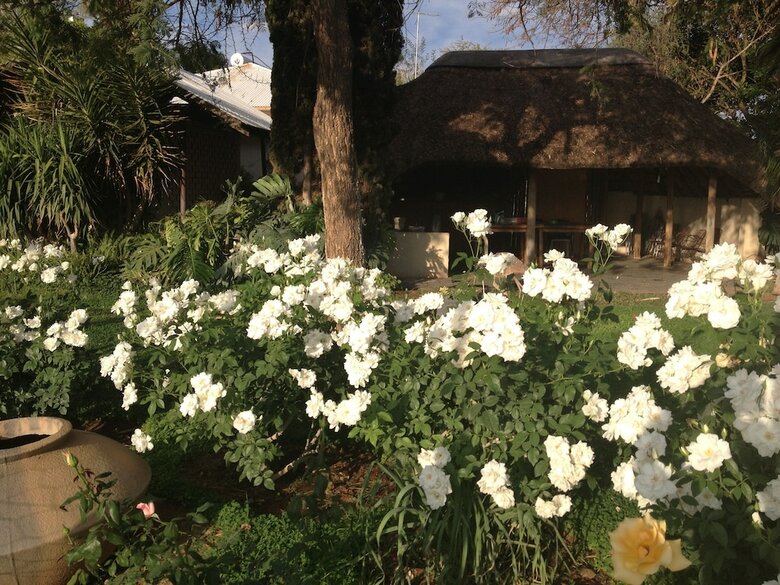 Posada Aloegrove Safari Lodge