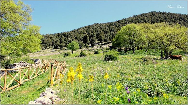 Spiaggia Lunga Camping