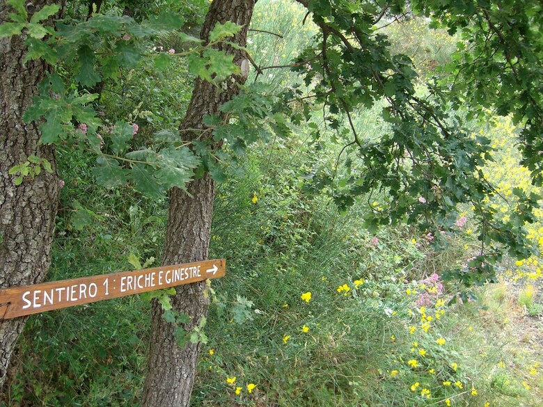 Agroturismo Viola Nel Parco