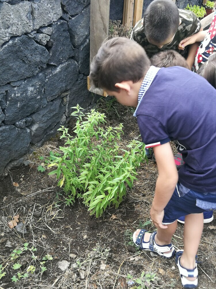 Agroturismo Viola Nel Parco