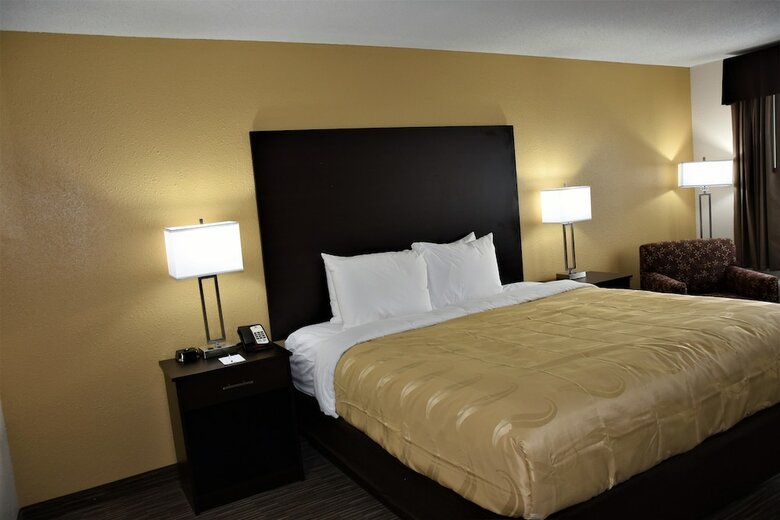 Hotel Quality Inn & Suites Metropolis I-24