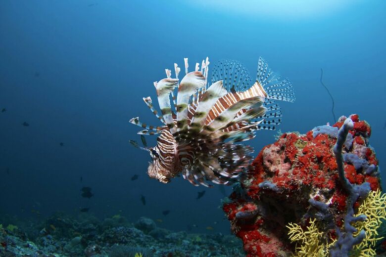 Apartamento Biyadhoo Island Resort