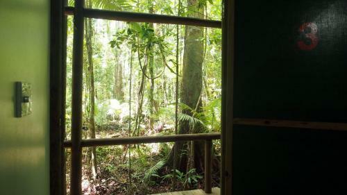 Lodge Daintree Crocodylus Village