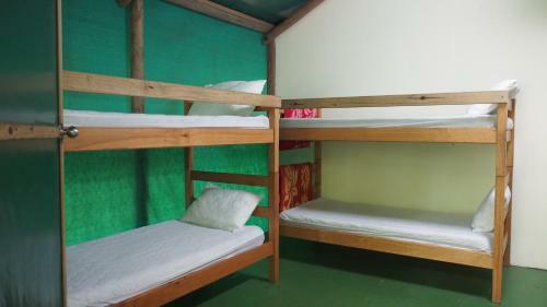 Lodge Daintree Crocodylus Village