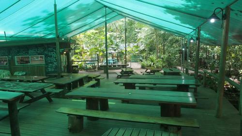 Lodge Daintree Crocodylus Village