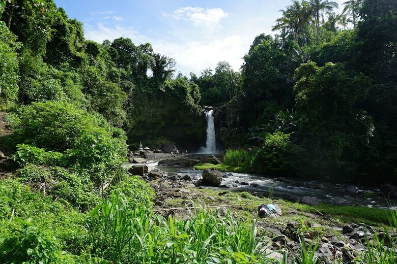 Hotel Angel House Ubud