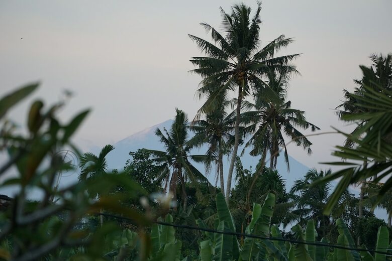 Hotel Angel House Ubud
