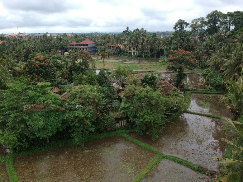 Hotel Byasa Ubud