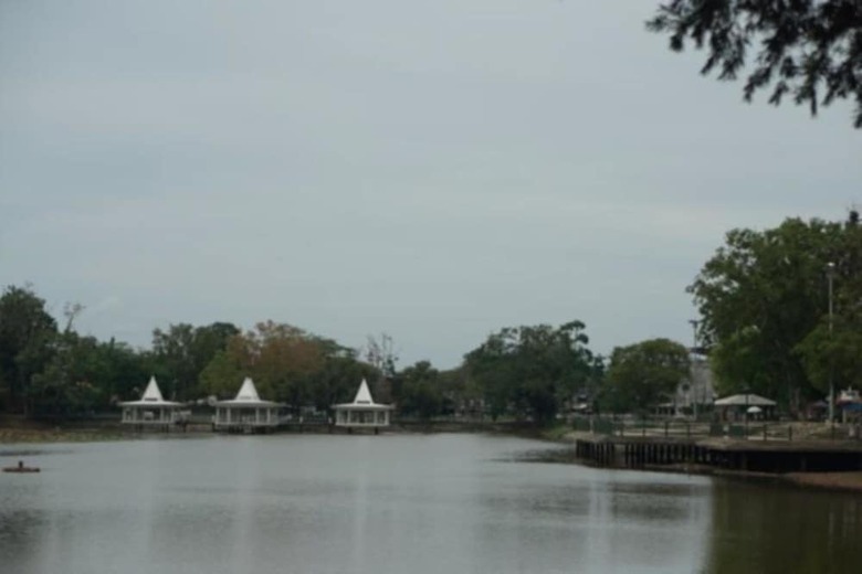 Hotel P.p. Palm Mansion