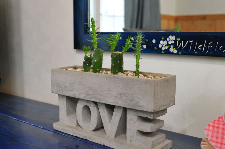 Daegwallyeong Wild Floaroma Pension