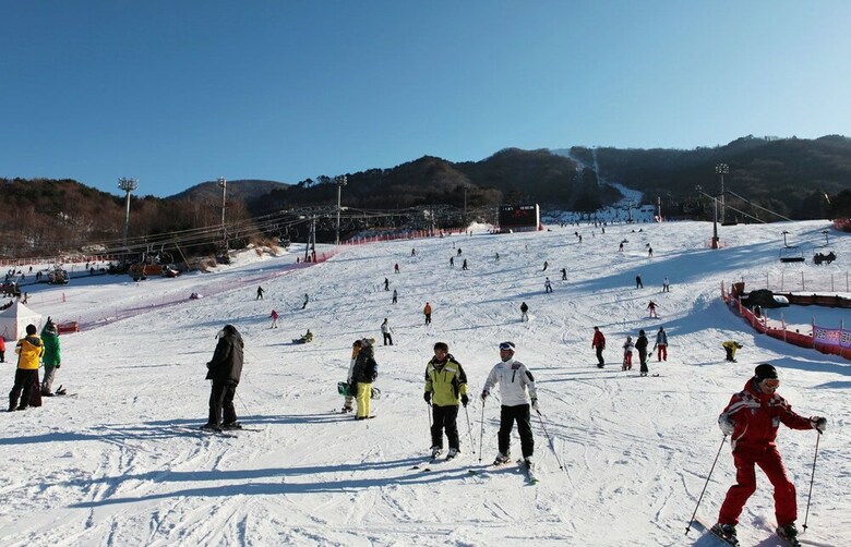 Daegwallyeong Wild Floaroma Pension