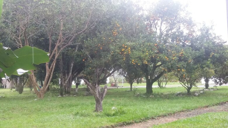 Hotel Campestre Camino Real Pereira