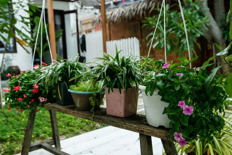 Hotel Seaweed Homestay Hoi An