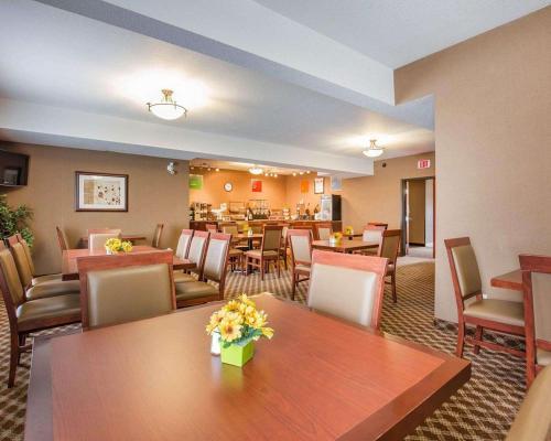 Motel Comfort Inn & Suites Airdrie