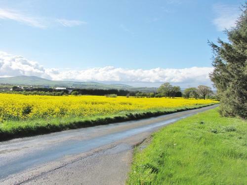 Moneylands Farm B&B & Self-catering