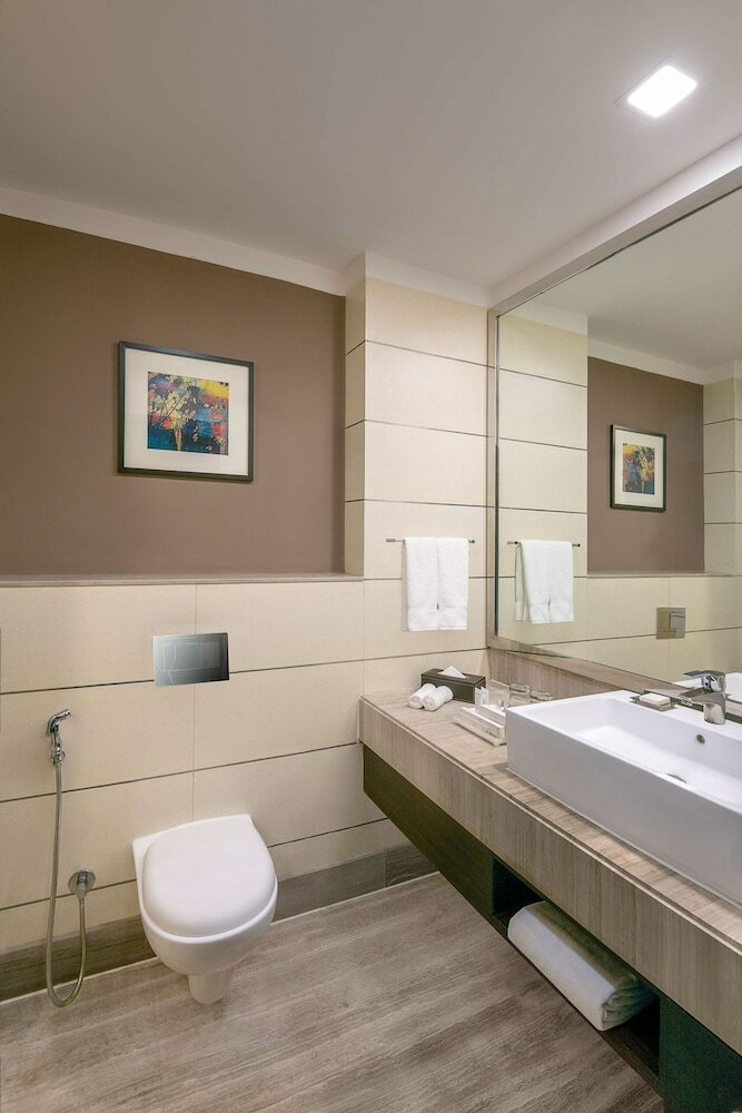 Hotel Radisson Blu Pune Hinjawadi