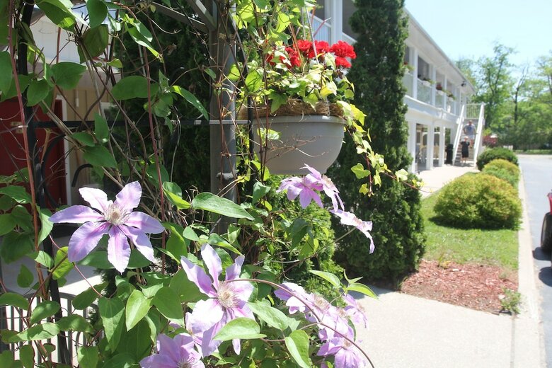 Hotel Saga Resort