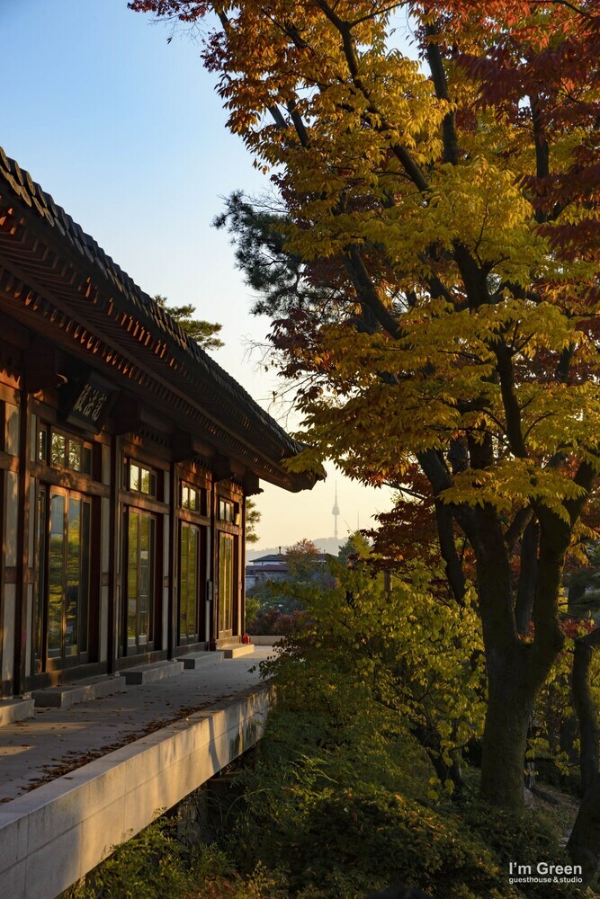 Apartamentos I'm Green Boutique House