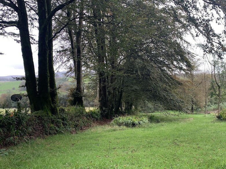 Hotel Ffos Y Ffin - Ascension In The Fields