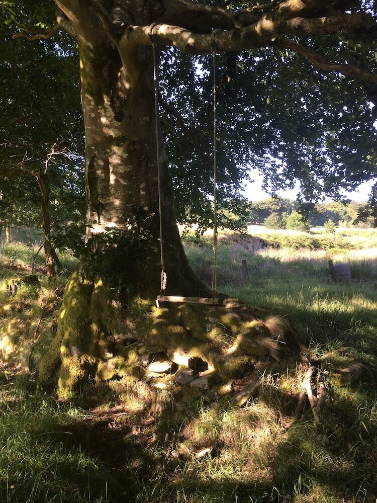 Hotel Ffos Y Ffin - Ascension In The Fields