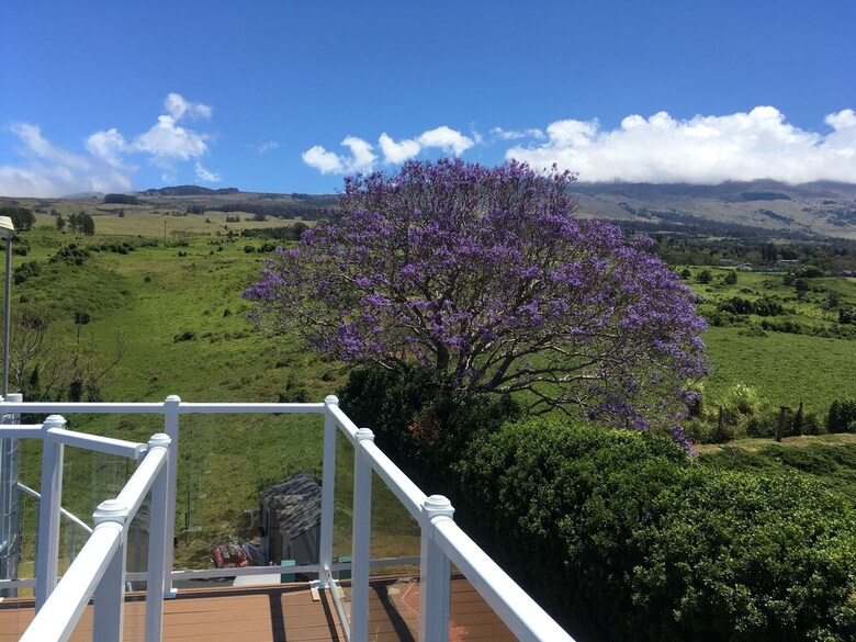 Apartamentos Hale Kiana