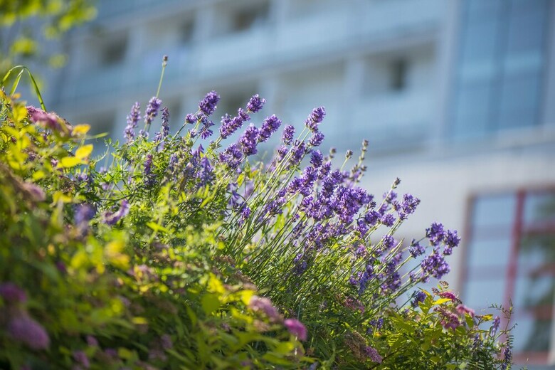 Hotel Sanatorium Uzdrowiskowe Ba?tyk