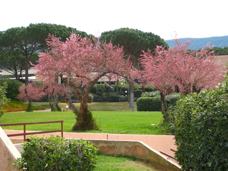 Apartamento Scoglietto 50