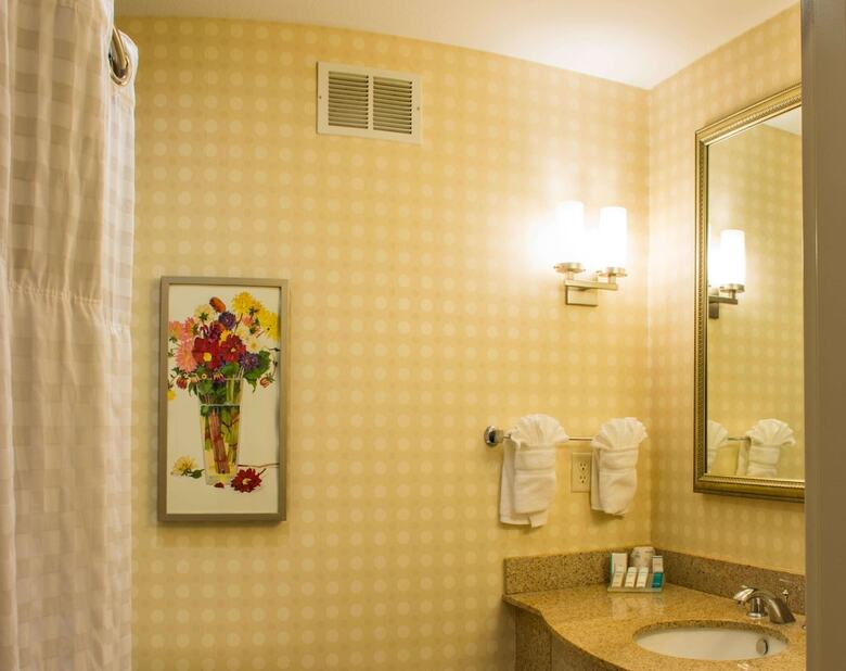 Hotel Hilton Garden Inn Elkhart