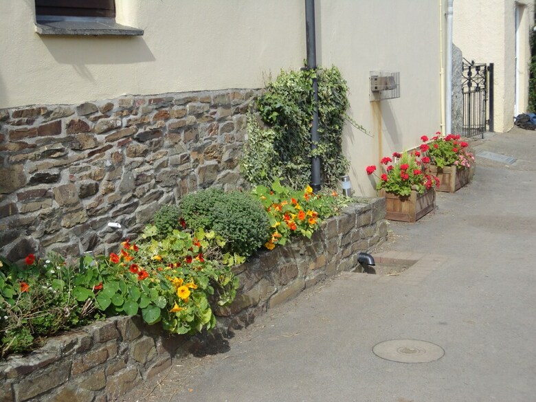 Frankaborough Farm Holiday Cottages