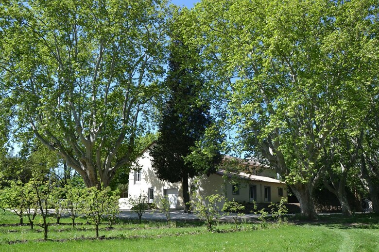 Hotel Mas De Capelou