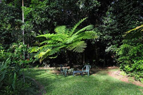 Cow Bay Homestay B&B