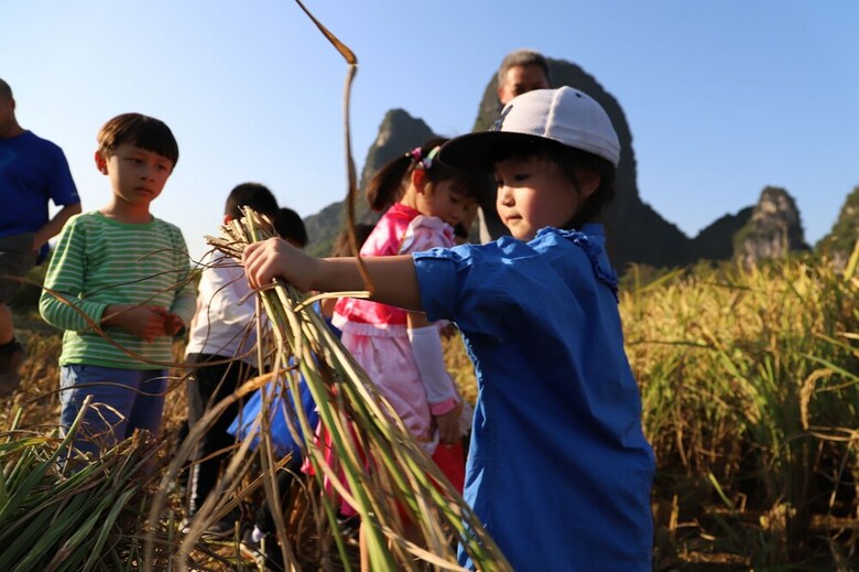 Hotel Yangshuo Zen Garden Resort