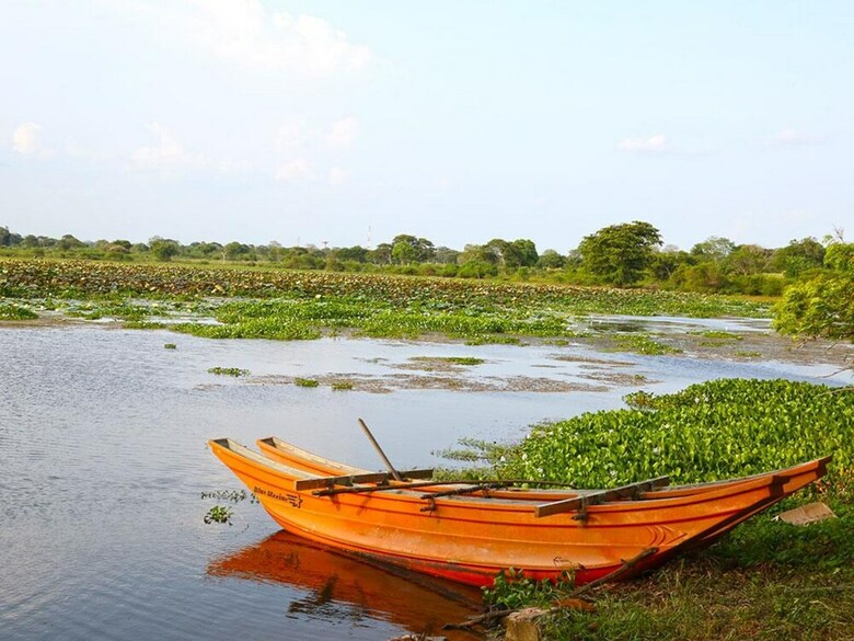 Hotel Best Life Eco Resort Mattala